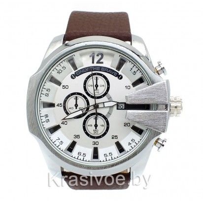 Мужские наручные часы Diesel Brave CWC953